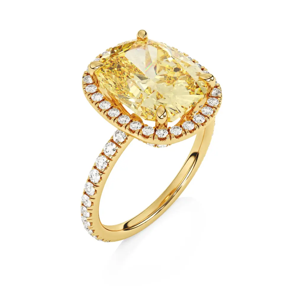 [P10000701] Solar Crown 